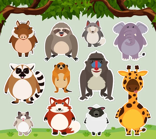 Etiket tasarım alanında vahşi hayvanlar için