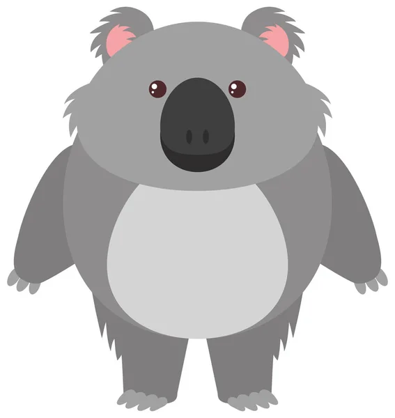 Lindo oso koala sobre fondo blanco — Vector de stock