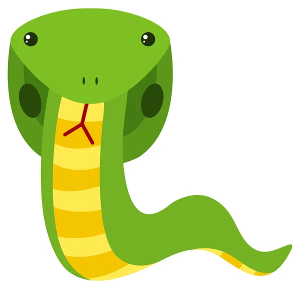 Cobra verde su sfondo bianco — Vettoriale Stock