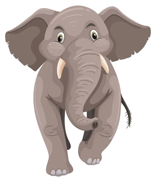 Elefante bambino con pelle grigia — Vettoriale Stock