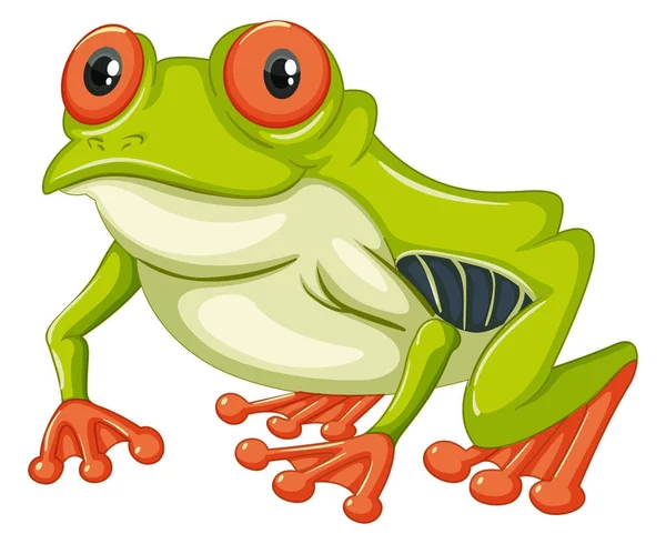 Green frog with happy smile — Stock Vector