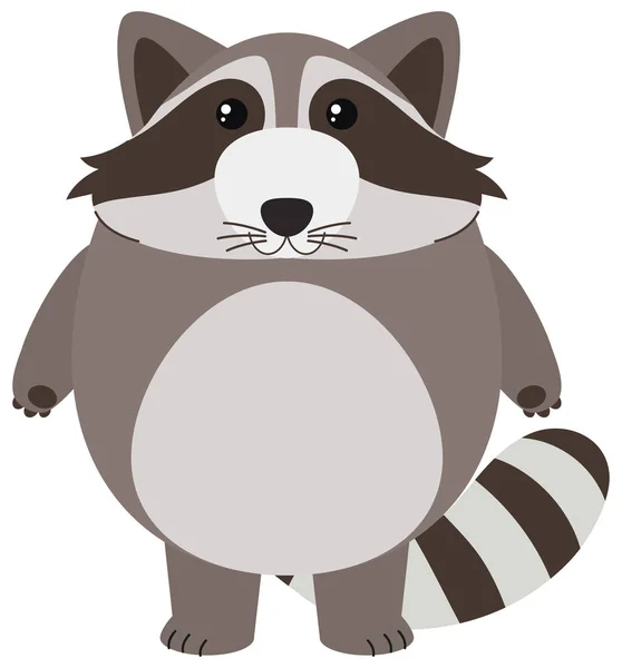 Cute raccoon on white background — Stock Vector