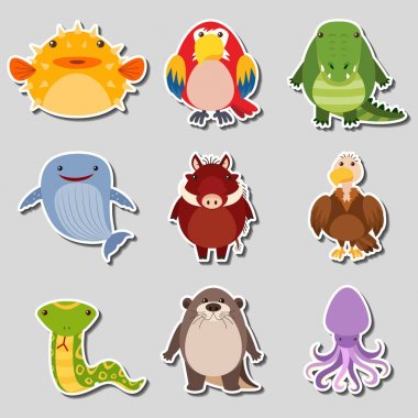 Etiket tasarım ile farklı tip-in hayvan