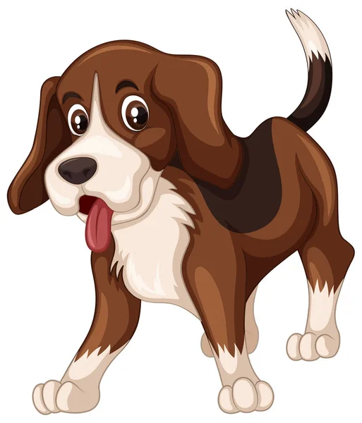 Perro beagle sobre fondo blanco — Vector de stock