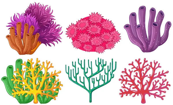 Diferentes tipos de arrecifes de coral — Vector de stock