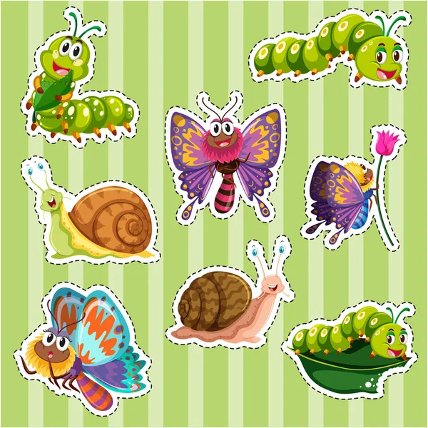 Sticker set for different types of insects — Stock Vector
