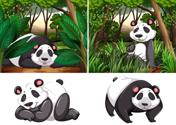 Panda in the deep forest — Stock Vector