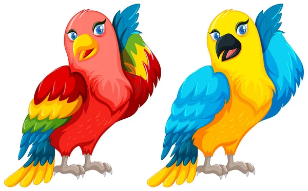 Twee papegaai vogels met kleurrijke veren — Stockvector