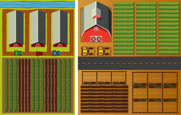 Vue de la ferme du haut avec des légumes et des granges — Image vectorielle