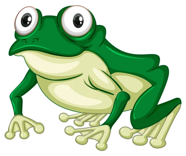 Зелений жабеня на білий backgound — стоковий вектор