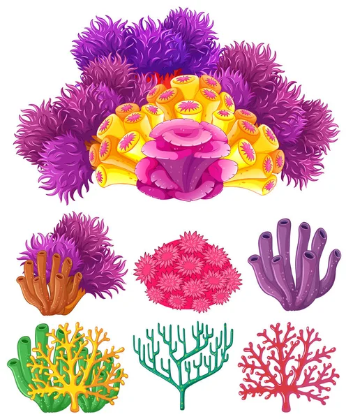 Arrecife de coral sobre fondo blanco — Vector de stock