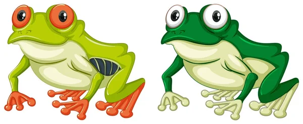 Dos ranas verdes sobre fondo blanco — Vector de stock