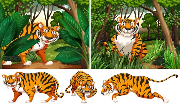 Τίγρεις στο πυκνό δάσος — Διανυσματικό Αρχείο