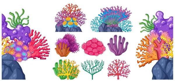 Diferentes tipos de recifes de coral —  Vetores de Stock