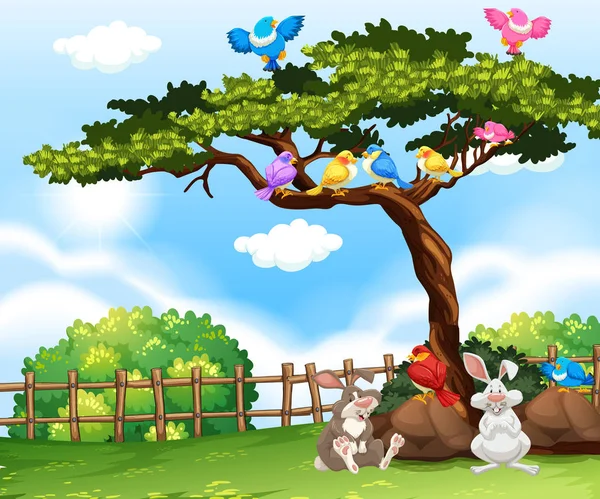 Background scene with birds on the tree and bunnies on the grass — Stock Vector