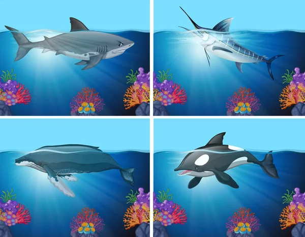 Cápák és a bálnák, az óceán — Stock Vector