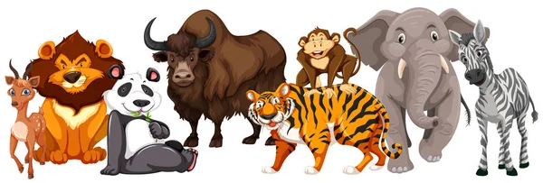 Diferentes tipos de animais no fundo branco — Vetor de Stock