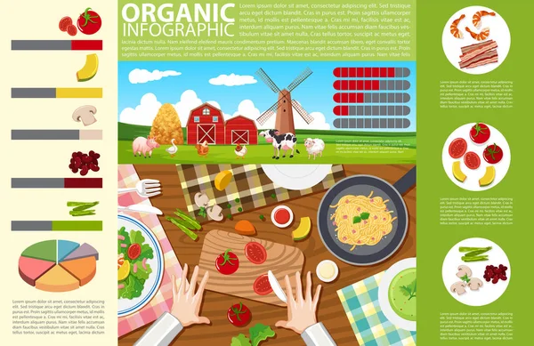 Progettazione infografica con alimenti e agricoltura biologica — Vettoriale Stock