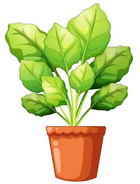 Zelené rostliny v hliněném hrnci — Stockový vektor