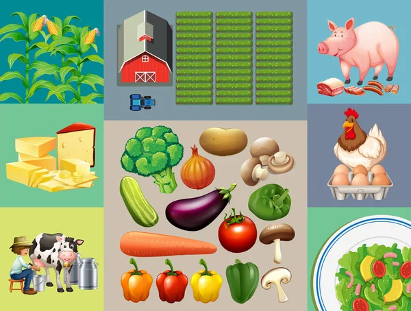 Différents types de produits alimentaires à la ferme — Image vectorielle