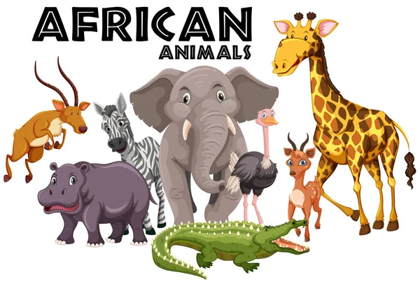 Afrikaanse dieren op witte achtergrond — Stockvector