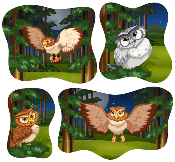 Four forest scenes with owl flying — Stock Vector