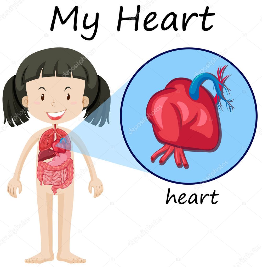 Girl and heart on diagram