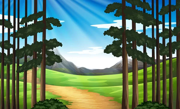 Scène de fond avec piste de randonnée en forêt — Image vectorielle