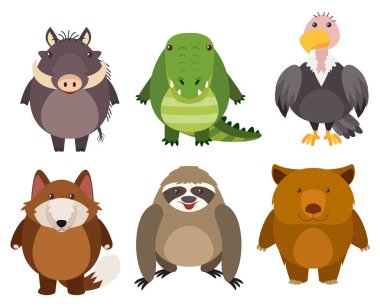 beyaz zemin üzerinde vahşi hayvanlar