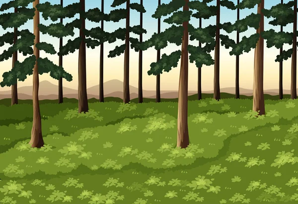 Pozadí scény s stromy v lese — Stockový vektor