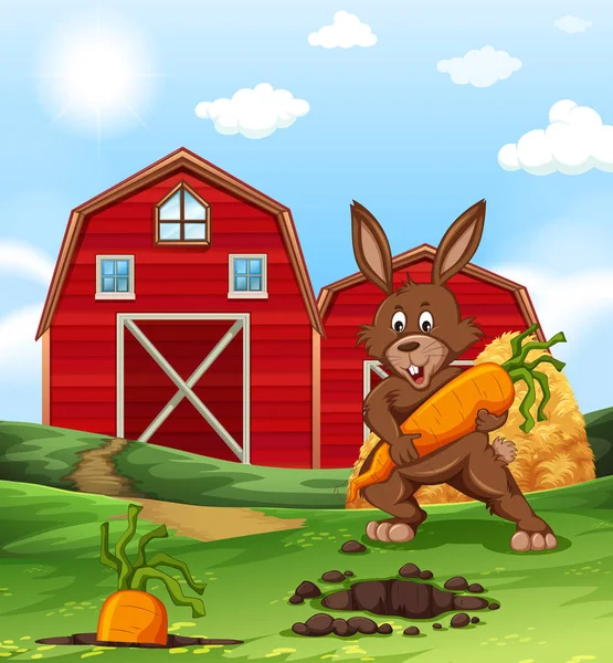 Braune Kaninchen und Möhren auf dem Bauernhof — Stockvektor