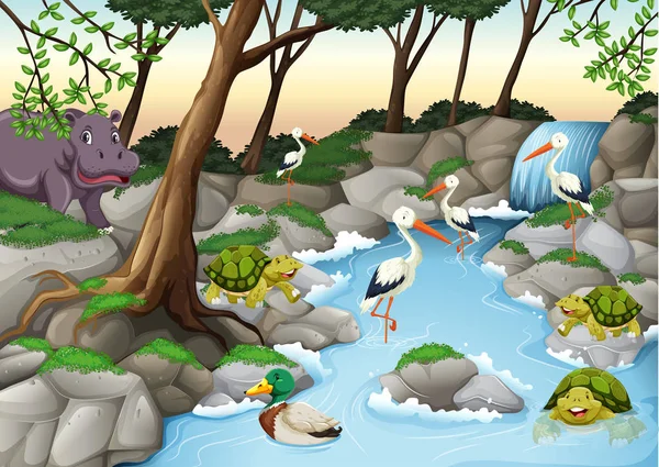 Water scene with many wild animals — Stock Vector