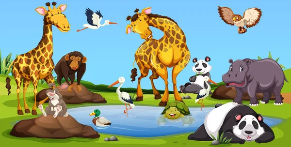Animales salvajes juntos junto a la pequeña piscina — Vector de stock