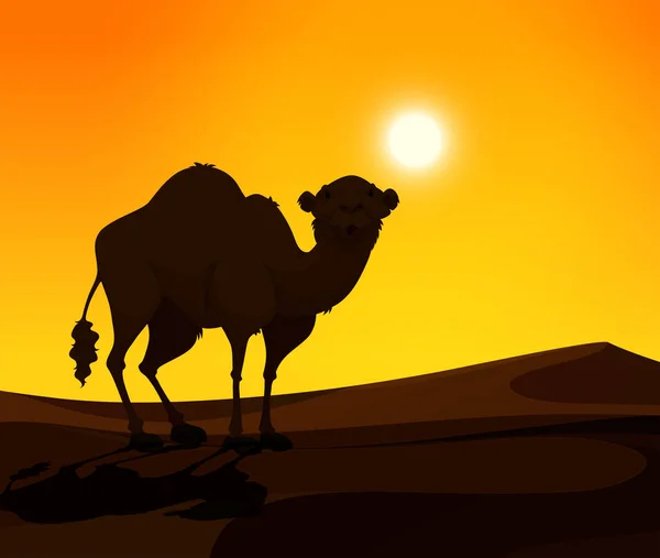 Camello parado en tierra desierta al atardecer — Vector de stock