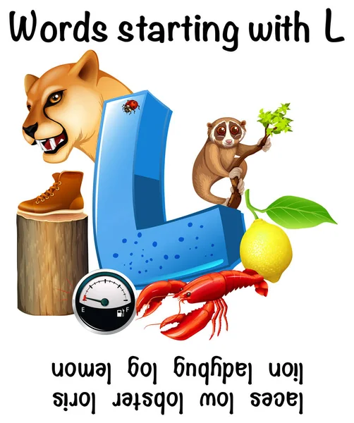 Vzdělávací plakát pro slova začínající na L — Stockový vektor