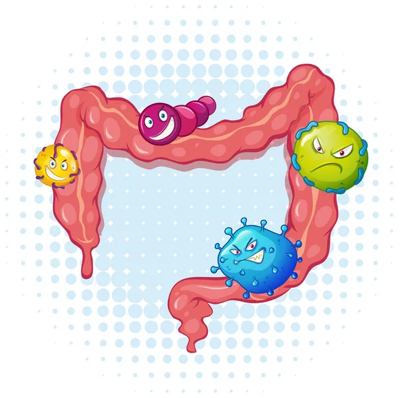 多くのバクテリアと腸 — ストックベクタ