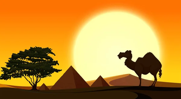 Hintergrundszene mit Kamel bei Sonnenuntergang — Stockvektor