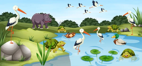 Many wild animals in the pond — Stock Vector