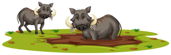 Two Boars Playing in Mud — Stock Vector