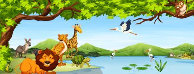 Çeşitli vahşi hayvanlar sahne