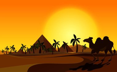 Piramit ve deve ile çöl sahne
