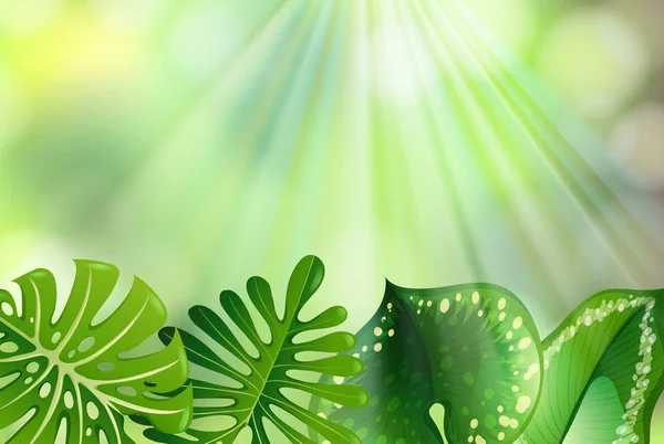 Fondo de naturaleza verde — Vector de stock