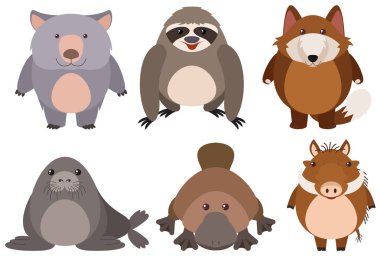 Beyaz arka plan üzerinde sevimli vahşi hayvanlar