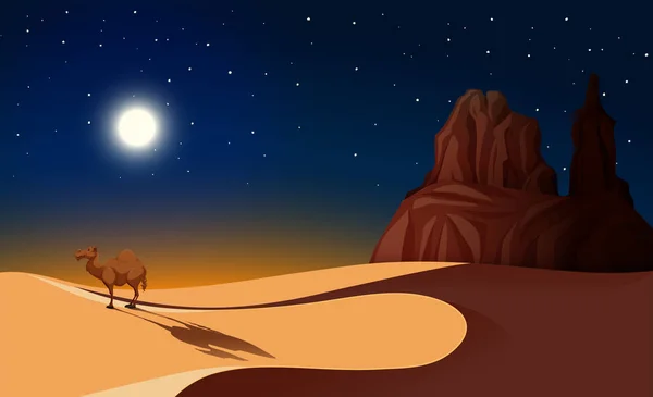 Kamel in der Wüste bei Nacht — Stockvektor