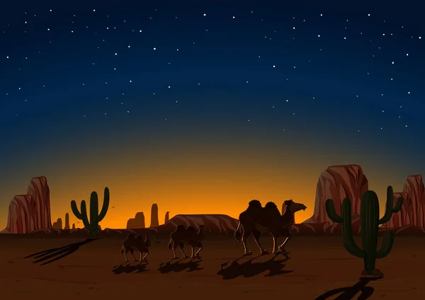 Camellos de silueta en el desierto por la noche — Vector de stock