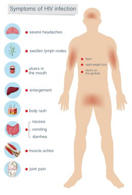 HIV enfeksiyonu belirtileri insan anatomisi