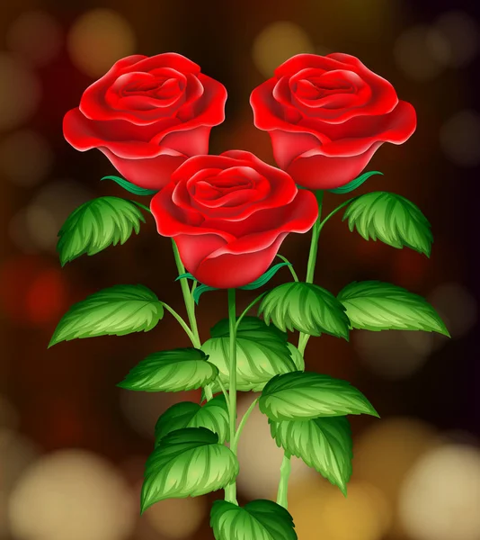 Schöne Rosen mit unscharfem Hintergrund — Stockvektor
