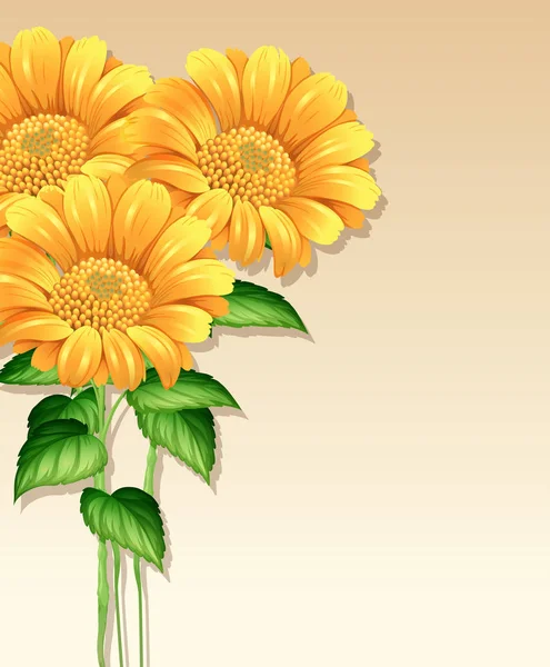 美丽的向日葵空白模板 — 图库矢量图片