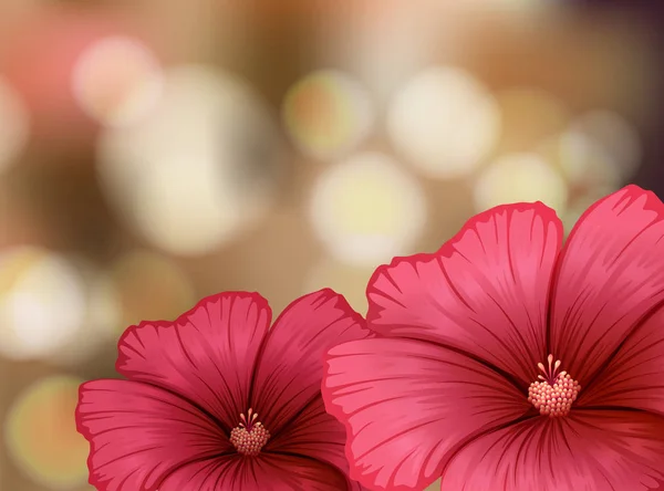 Flores de hibisco no fundo borrão — Vetor de Stock