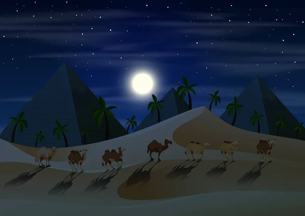 Kamele Karawane in der Wüste bei Nacht — Stockvektor